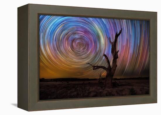 mt-ida-10-Lincoln Harrison-Framed Stretched Canvas