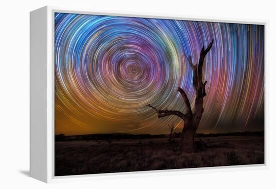 mt-ida-10-Lincoln Harrison-Framed Stretched Canvas