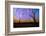 mt-ida-2-Lincoln Harrison-Framed Photo