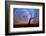 mt-ida-7-Lincoln Harrison-Framed Photo