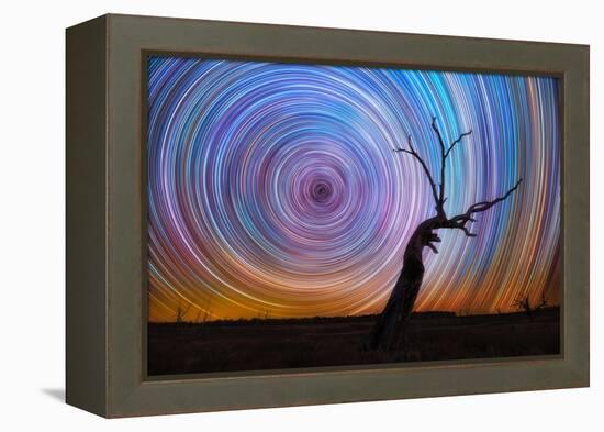 mt-ida-7-Lincoln Harrison-Framed Stretched Canvas