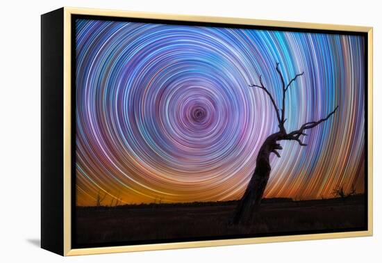 mt-ida-7-Lincoln Harrison-Framed Stretched Canvas