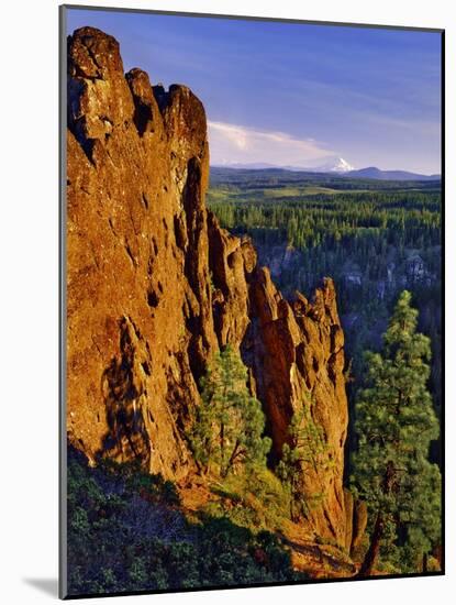 Mt. Jefferson Viewed from Badger Creek Wilderness-Steve Terrill-Mounted Photographic Print