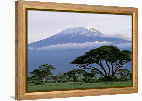 Mt Kilimanjaro in Tanzania-null-Framed Premier Image Canvas