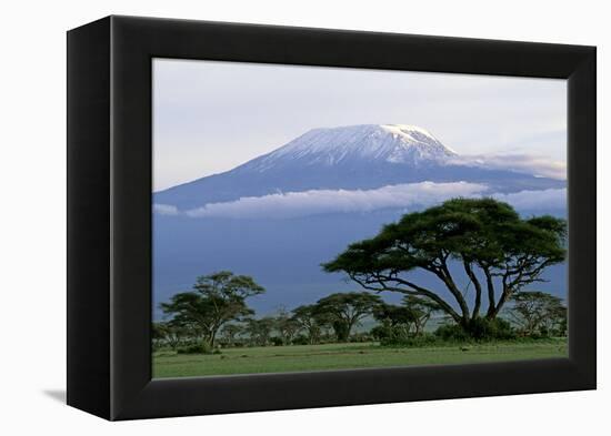 Mt Kilimanjaro in Tanzania-null-Framed Premier Image Canvas