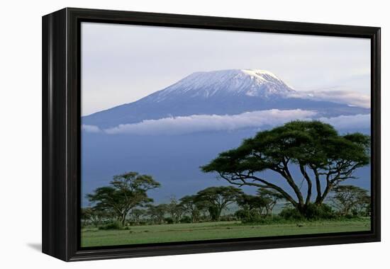 Mt Kilimanjaro in Tanzania-null-Framed Premier Image Canvas