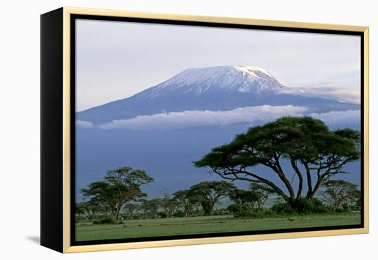 Mt Kilimanjaro in Tanzania-null-Framed Premier Image Canvas