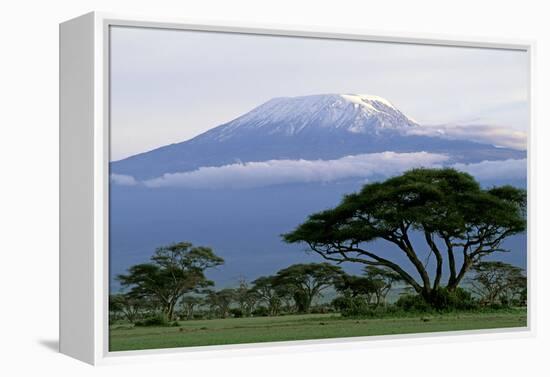 Mt Kilimanjaro in Tanzania-null-Framed Premier Image Canvas