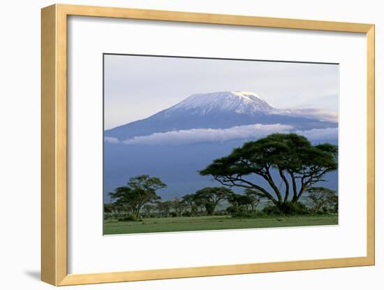 Mt Kilimanjaro in Tanzania-null-Framed Photographic Print