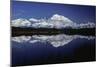 Mt, Mckinley (Denali) from Reflection Pond, Denali-null-Mounted Photographic Print