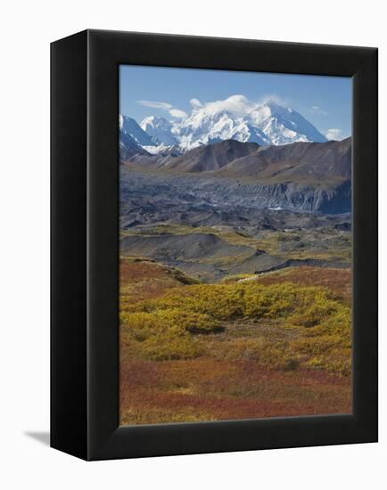 Mt. Mckinley, Denali National Park, Alaska, USA-Hugh Rose-Framed Premier Image Canvas