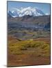 Mt. Mckinley, Denali National Park, Alaska, USA-Hugh Rose-Mounted Photographic Print