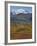 Mt. Mckinley, Denali National Park, Alaska, USA-Hugh Rose-Framed Photographic Print