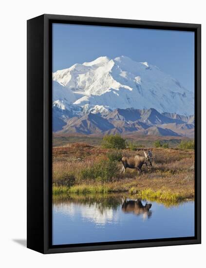 Mt. Mckinley, Denali National Park, Alaska, USA-Hugh Rose-Framed Premier Image Canvas