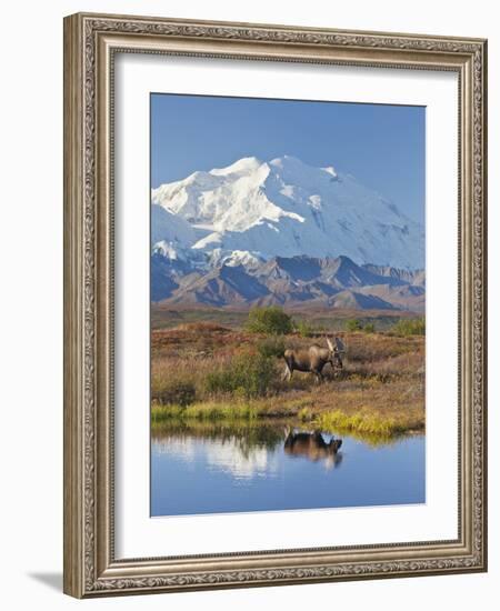 Mt. Mckinley, Denali National Park, Alaska, USA-Hugh Rose-Framed Photographic Print