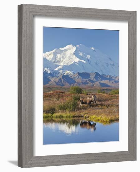 Mt. Mckinley, Denali National Park, Alaska, USA-Hugh Rose-Framed Photographic Print