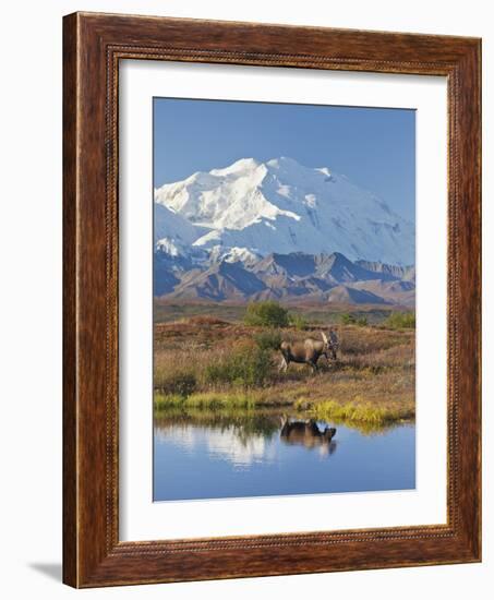 Mt. Mckinley, Denali National Park, Alaska, USA-Hugh Rose-Framed Photographic Print