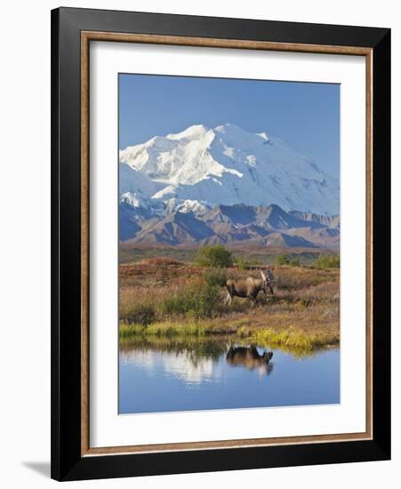 Mt. Mckinley, Denali National Park, Alaska, USA-Hugh Rose-Framed Photographic Print