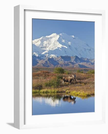 Mt. Mckinley, Denali National Park, Alaska, USA-Hugh Rose-Framed Photographic Print