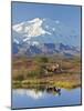 Mt. Mckinley, Denali National Park, Alaska, USA-Hugh Rose-Mounted Photographic Print