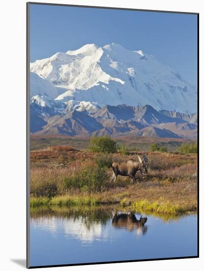 Mt. Mckinley, Denali National Park, Alaska, USA-Hugh Rose-Mounted Photographic Print