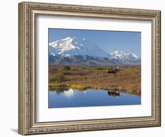 Mt. Mckinley, Denali National Park, Alaska, USA-Hugh Rose-Framed Photographic Print