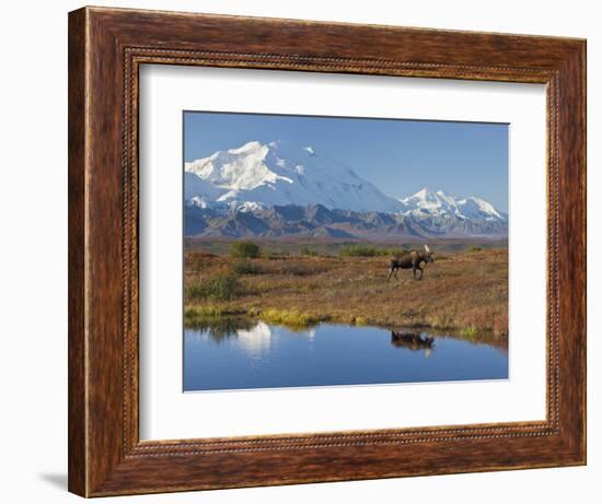 Mt. Mckinley, Denali National Park, Alaska, USA-Hugh Rose-Framed Photographic Print