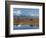 Mt. Mckinley, Denali National Park, Alaska, USA-Hugh Rose-Framed Photographic Print