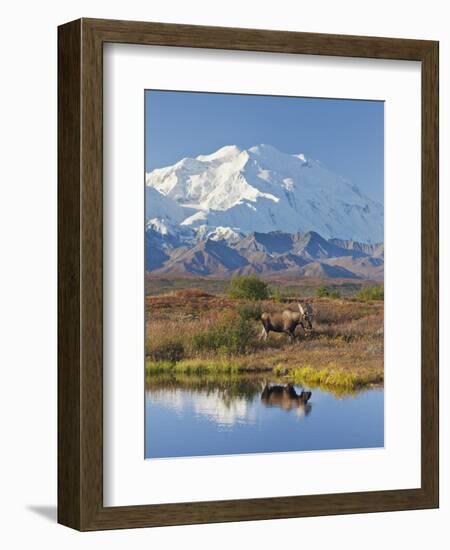 Mt. Mckinley, Denali National Park, Alaska, USA-Hugh Rose-Framed Photographic Print