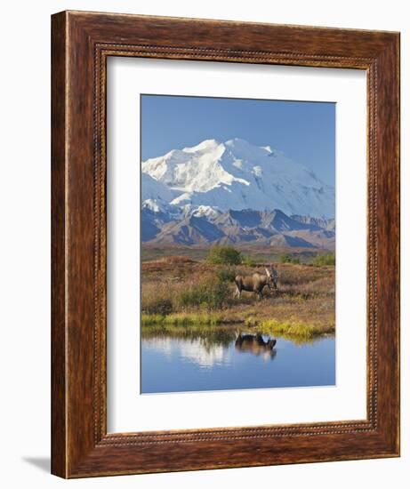 Mt. Mckinley, Denali National Park, Alaska, USA-Hugh Rose-Framed Photographic Print