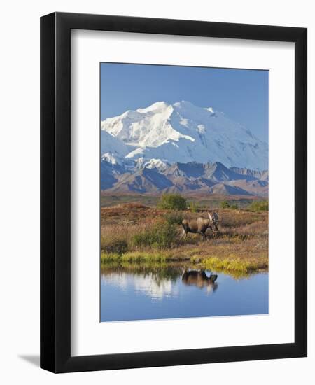 Mt. Mckinley, Denali National Park, Alaska, USA-Hugh Rose-Framed Photographic Print