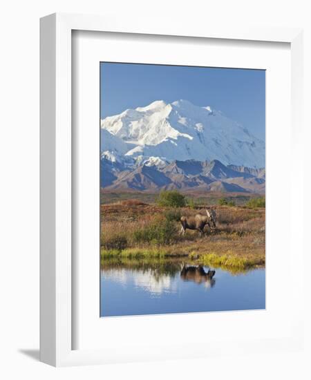 Mt. Mckinley, Denali National Park, Alaska, USA-Hugh Rose-Framed Photographic Print