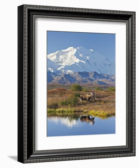 Mt. Mckinley, Denali National Park, Alaska, USA-Hugh Rose-Framed Photographic Print