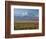 Mt. Mckinley, Denali National Park, Alaska, USA-Hugh Rose-Framed Photographic Print