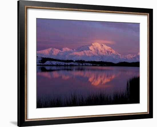 Mt. McKinley Reflected in Pond, Denali National Park, Alaska, USA-Hugh Rose-Framed Photographic Print