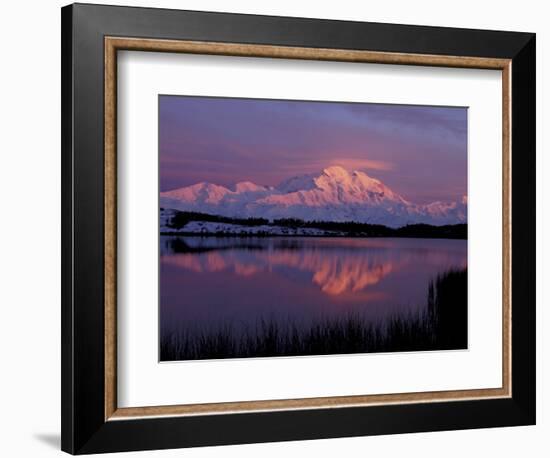 Mt. McKinley Reflected in Pond, Denali National Park, Alaska, USA-Hugh Rose-Framed Photographic Print