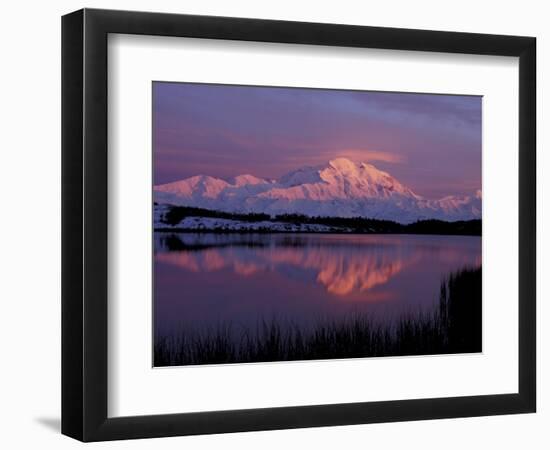 Mt. McKinley Reflected in Pond, Denali National Park, Alaska, USA-Hugh Rose-Framed Photographic Print