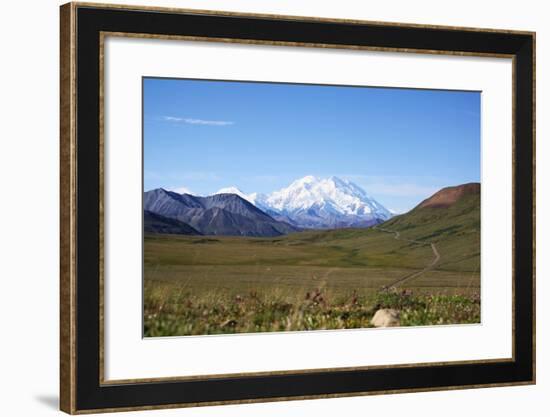 Mt. Mckinley-blackmarigolds-Framed Photographic Print