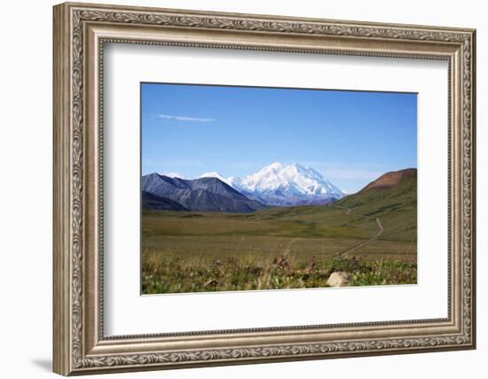 Mt. Mckinley-blackmarigolds-Framed Photographic Print