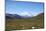 Mt. Mckinley-blackmarigolds-Mounted Photographic Print