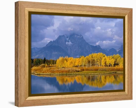 Mt, Moran and Snake River at Oxbow Bend, Grand Teton National Park, Wyoming, USA Autumn-Pete Cairns-Framed Premier Image Canvas