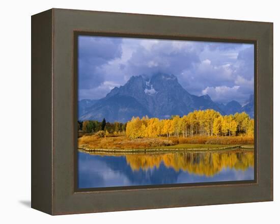 Mt, Moran and Snake River at Oxbow Bend, Grand Teton National Park, Wyoming, USA Autumn-Pete Cairns-Framed Premier Image Canvas
