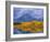 Mt, Moran and Snake River at Oxbow Bend, Grand Teton National Park, Wyoming, USA Autumn-Pete Cairns-Framed Photographic Print