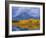 Mt, Moran and Snake River at Oxbow Bend, Grand Teton National Park, Wyoming, USA Autumn-Pete Cairns-Framed Photographic Print