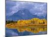 Mt, Moran and Snake River at Oxbow Bend, Grand Teton National Park, Wyoming, USA Autumn-Pete Cairns-Mounted Photographic Print