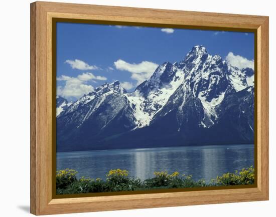 Mt. Moran from Jackson Lake, Grand Teton National Park, Wyoming, USA-Jamie & Judy Wild-Framed Premier Image Canvas