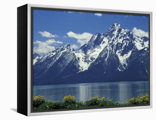 Mt. Moran from Jackson Lake, Grand Teton National Park, Wyoming, USA-Jamie & Judy Wild-Framed Premier Image Canvas