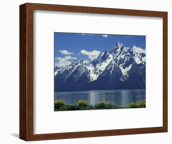 Mt. Moran from Jackson Lake, Grand Teton National Park, Wyoming, USA-Jamie & Judy Wild-Framed Photographic Print