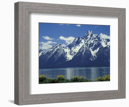 Mt. Moran from Jackson Lake, Grand Teton National Park, Wyoming, USA-Jamie & Judy Wild-Framed Photographic Print