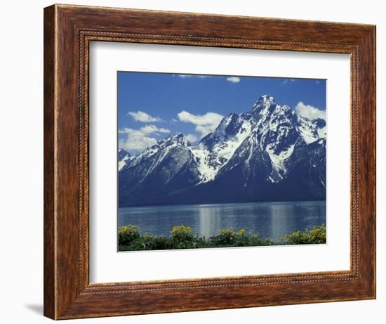 Mt. Moran from Jackson Lake, Grand Teton National Park, Wyoming, USA-Jamie & Judy Wild-Framed Photographic Print